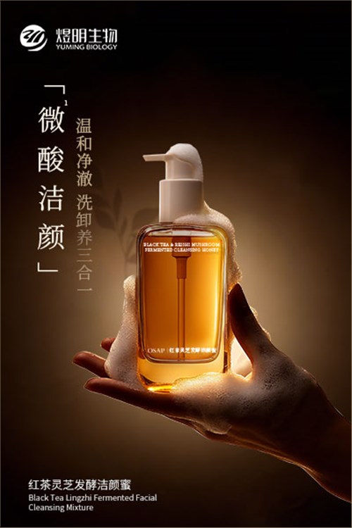 红茶灵芝发酵洁颜蜜